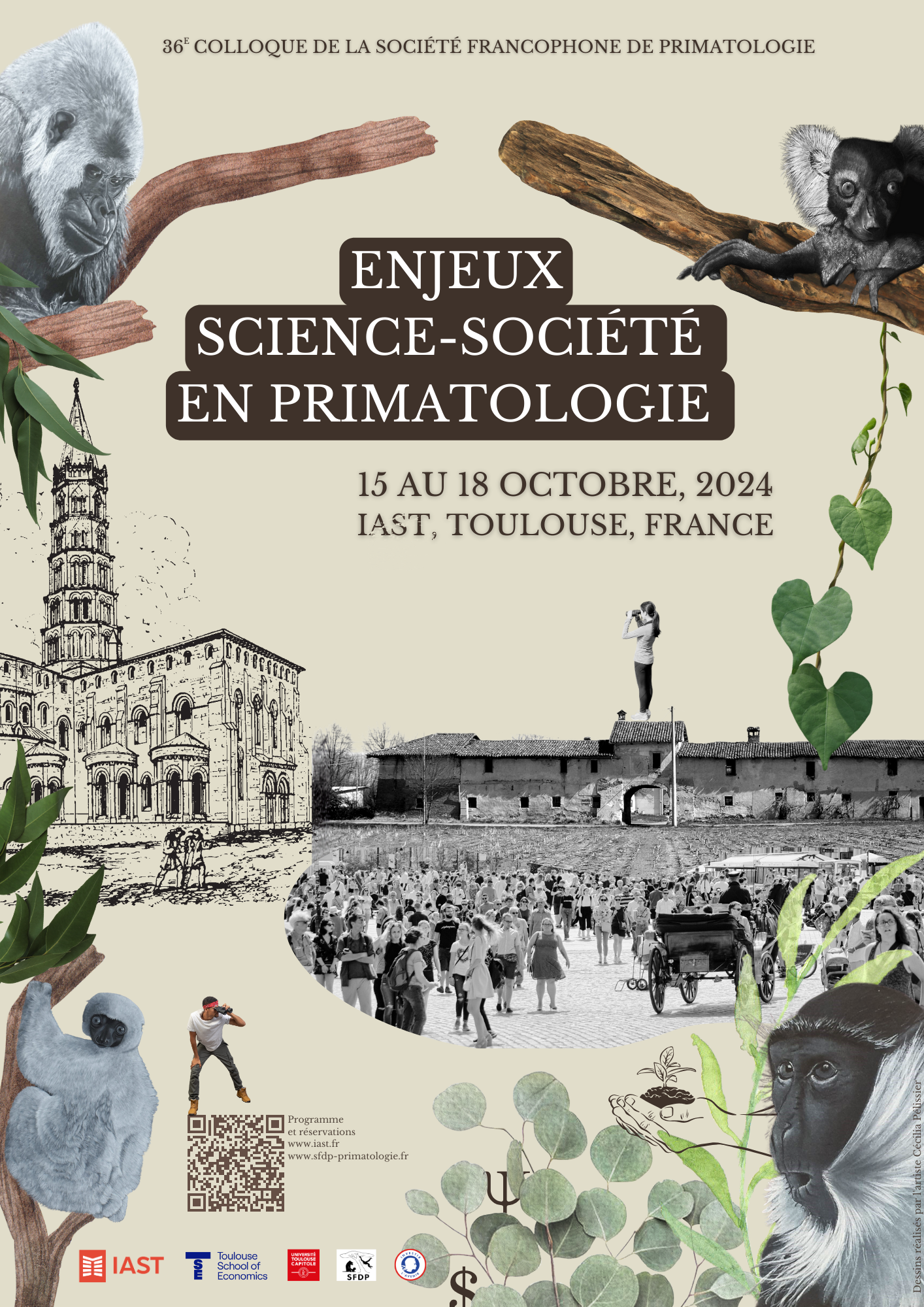poster colloque IAST Primatologie
