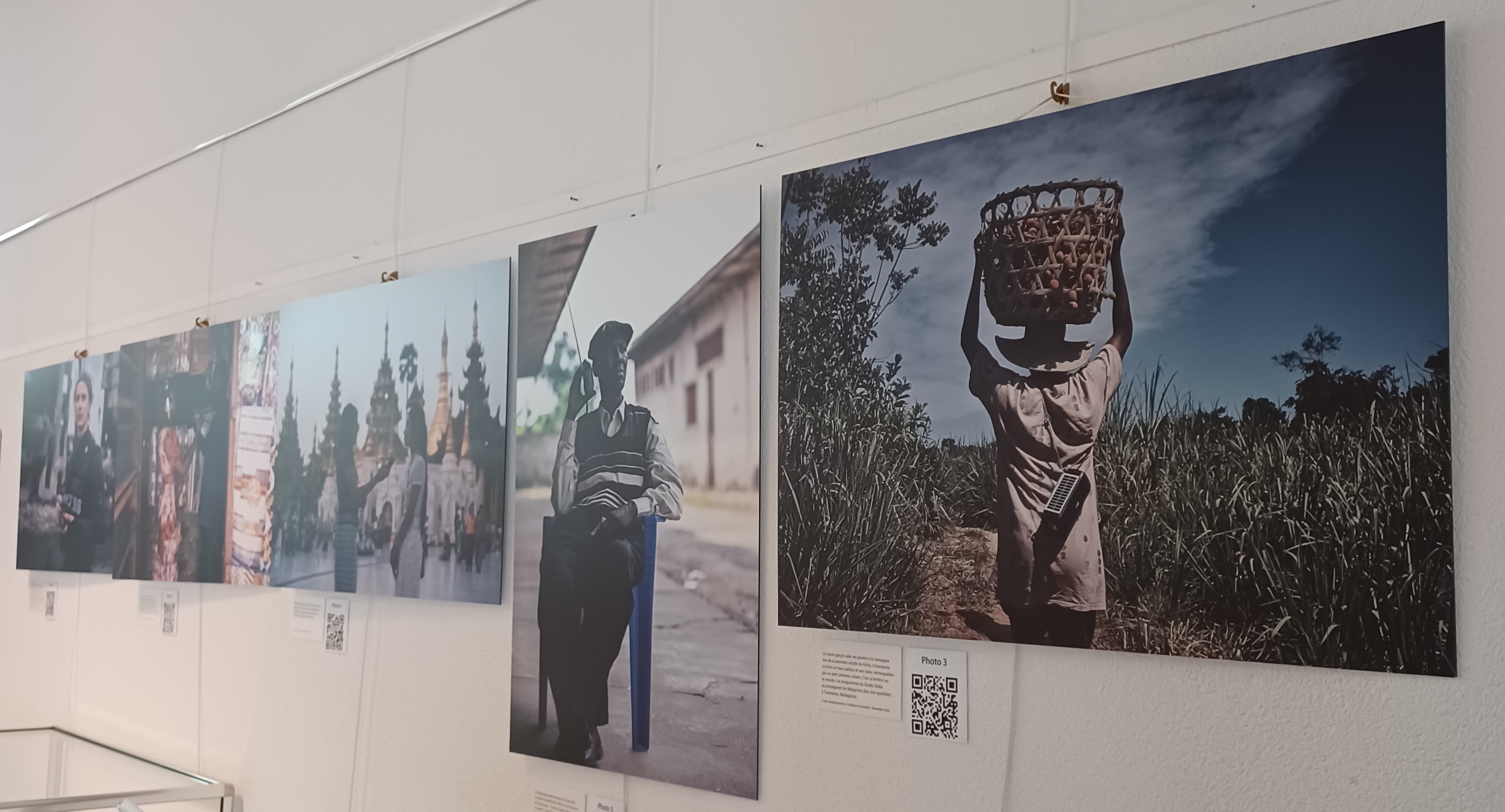 Photo expo Hirondelle