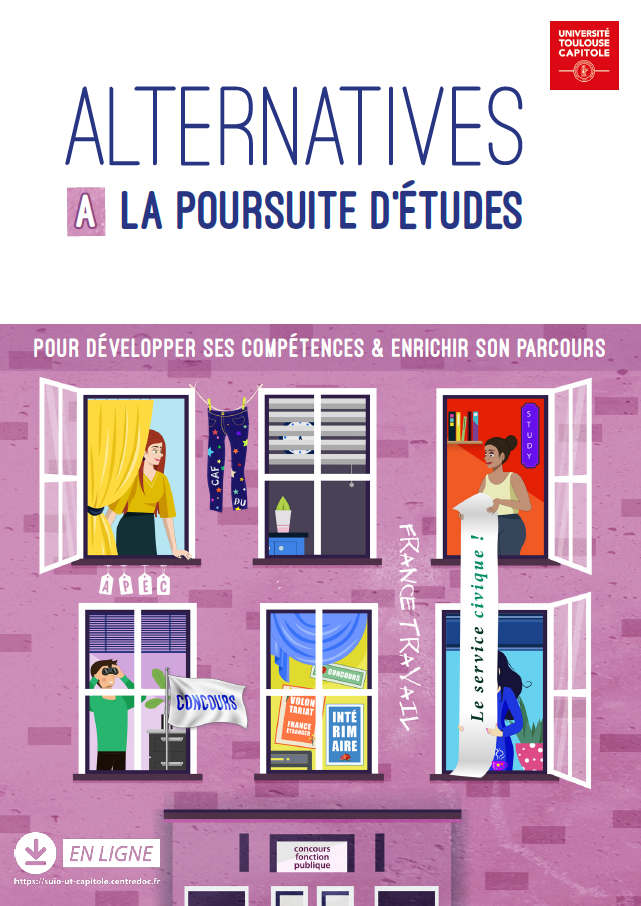 Alternatives à la poursuites d'études