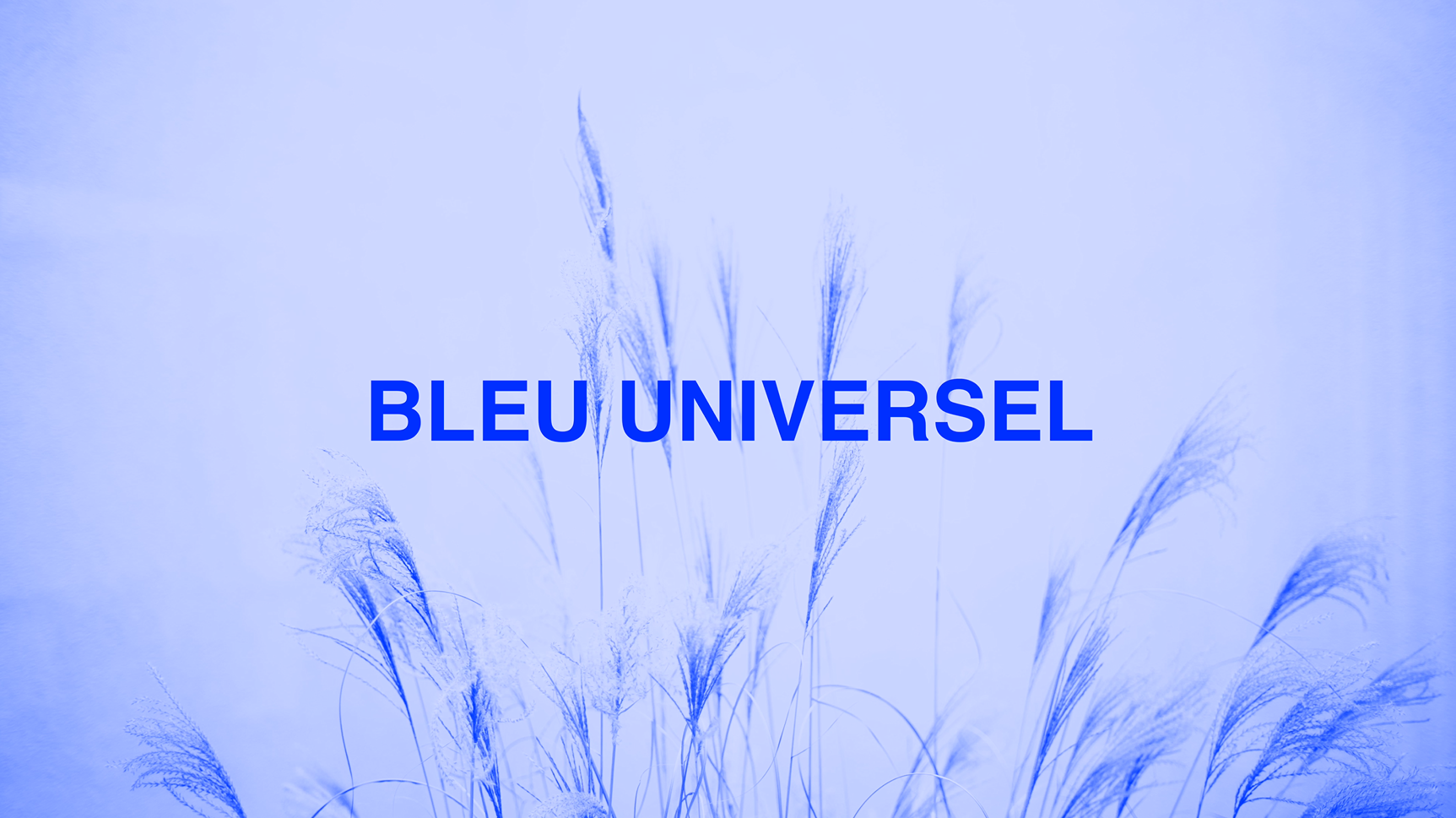 Pauline Thwaites Bleu Universel