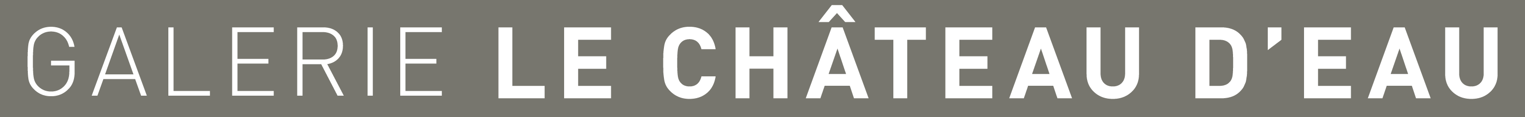 Logo Chateau d'eau