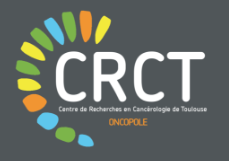 Logo CRCT