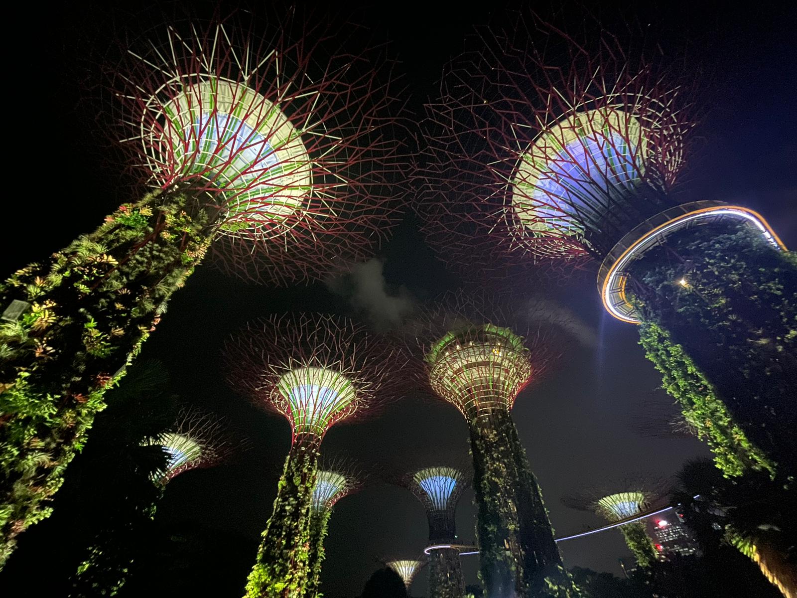 Study Tour DJCE Singapour