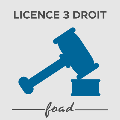 Logo Licence 3 FOAD 21-22