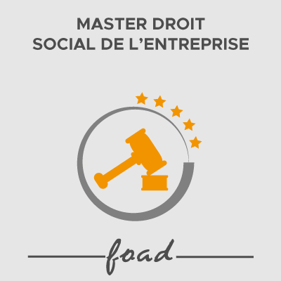 Université Toulouse Capitole  Master mention Droit social parcours