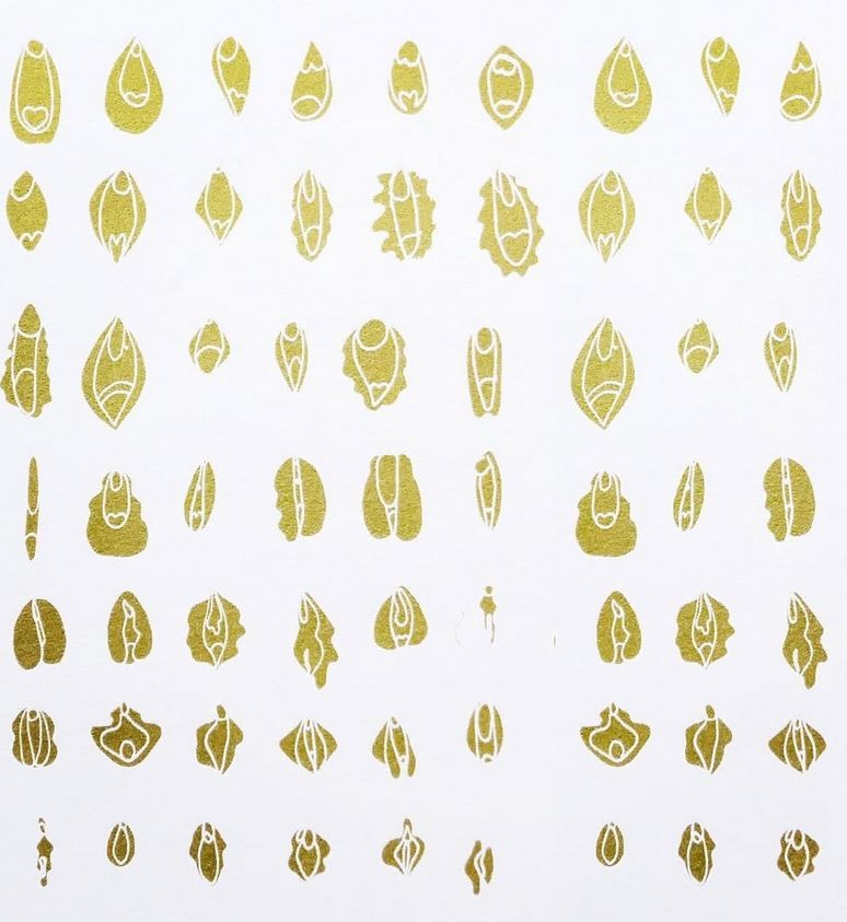 Photo oeuvre "Vulvaire" d'Irina Pentecouteau