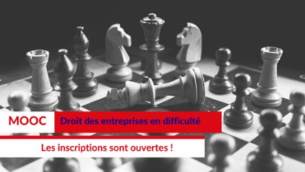 Visuel MOOC Droit des entreprises en difficulté