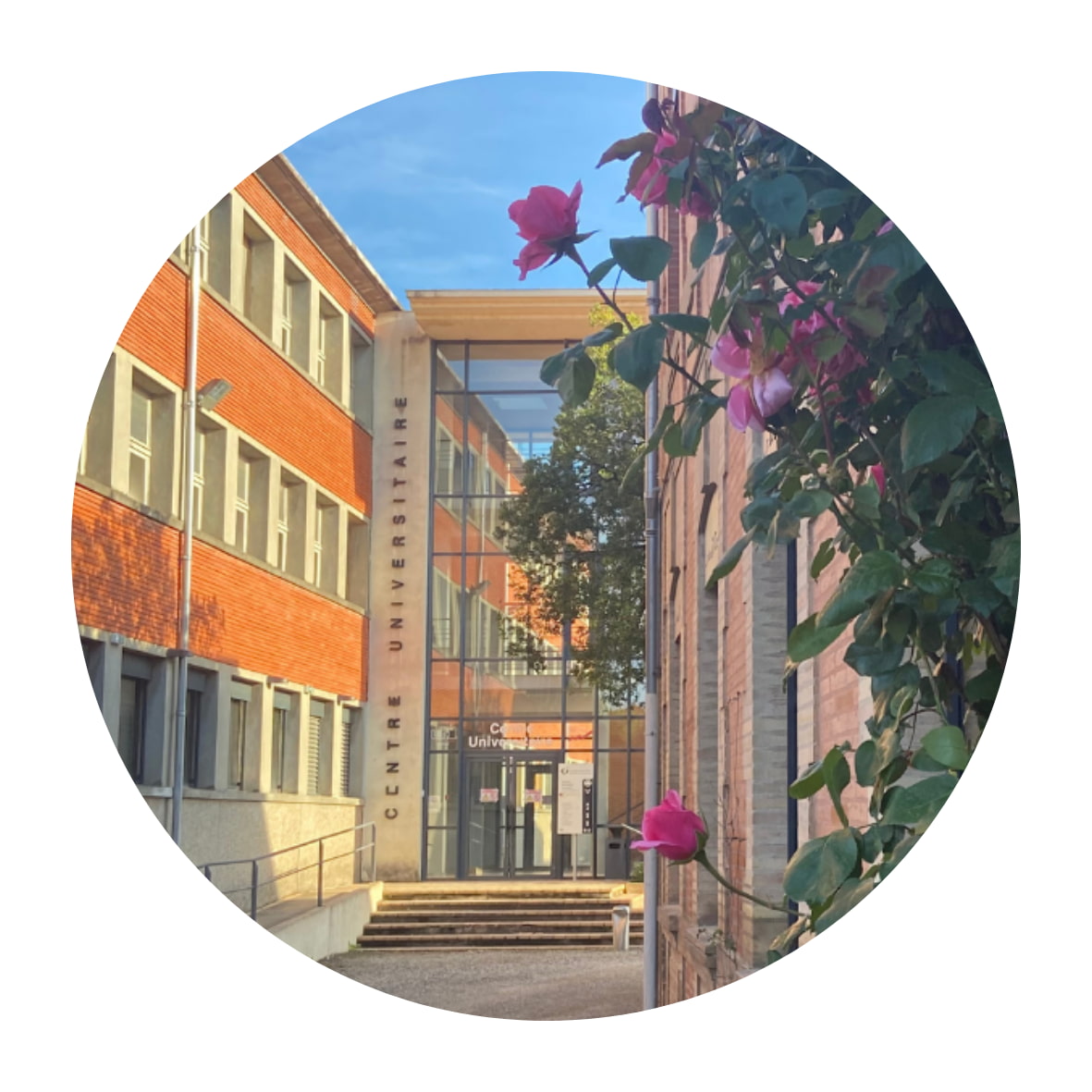 Visuel Campus Montauban