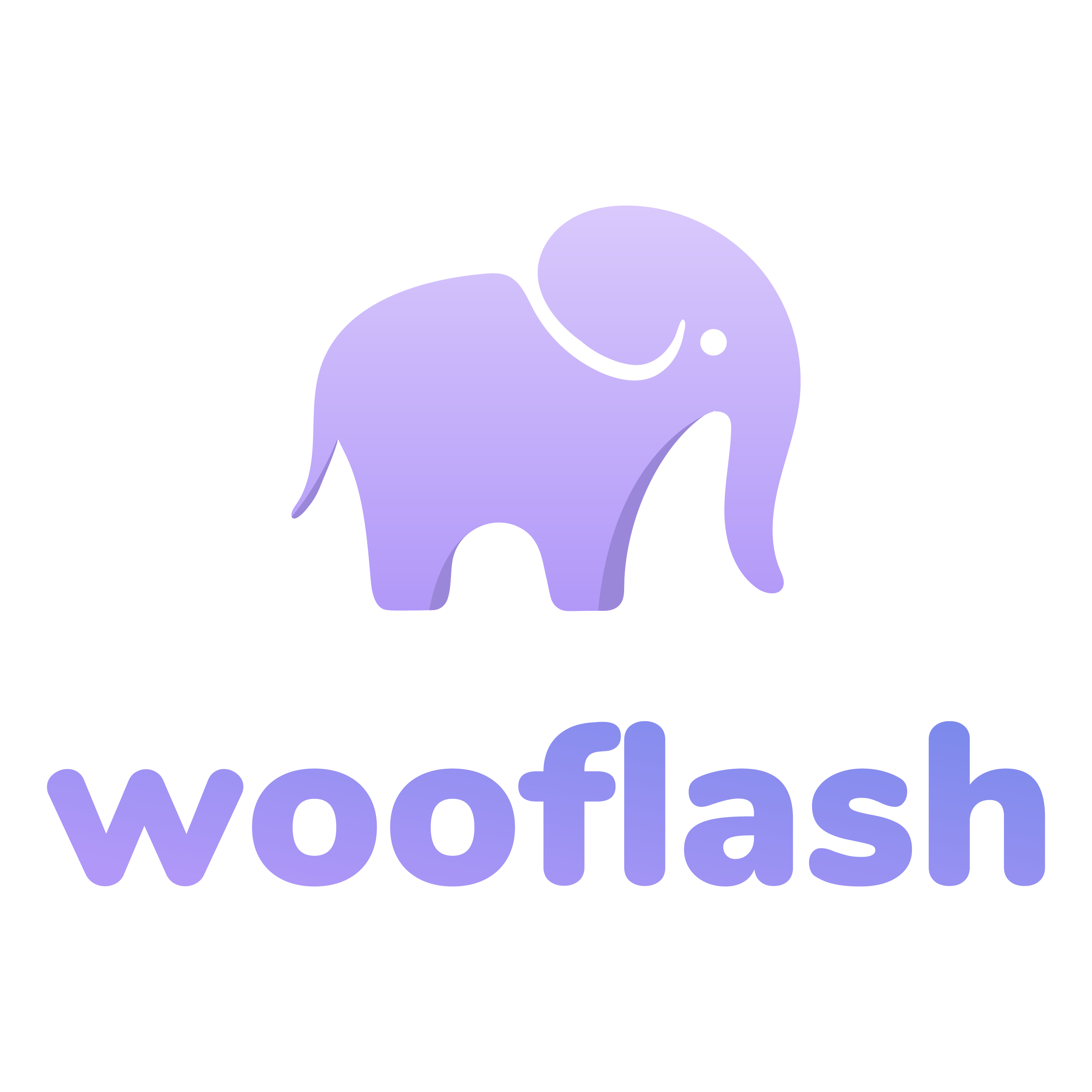 wooflash